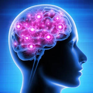 The Affect Menopause Has On Your Brain