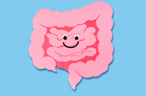 The Brain-Gut Connection: Everything You Need To Know