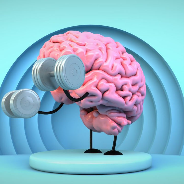 9 Brain Exercises That Have Been Shown To Improve Memory – MOSH