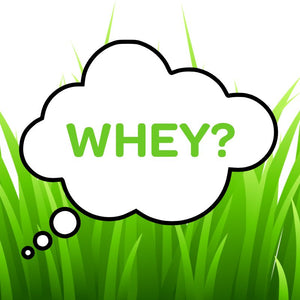 Grass-Fed Whey vs. Regular Whey: Is Grass-Fed Whey Better?