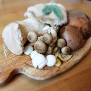 WOMEN'S HEALTH: What Are Adaptogenic Mushrooms And What Can They Do For You?