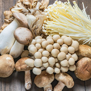 TODAY: What to know about the functional mushroom craze